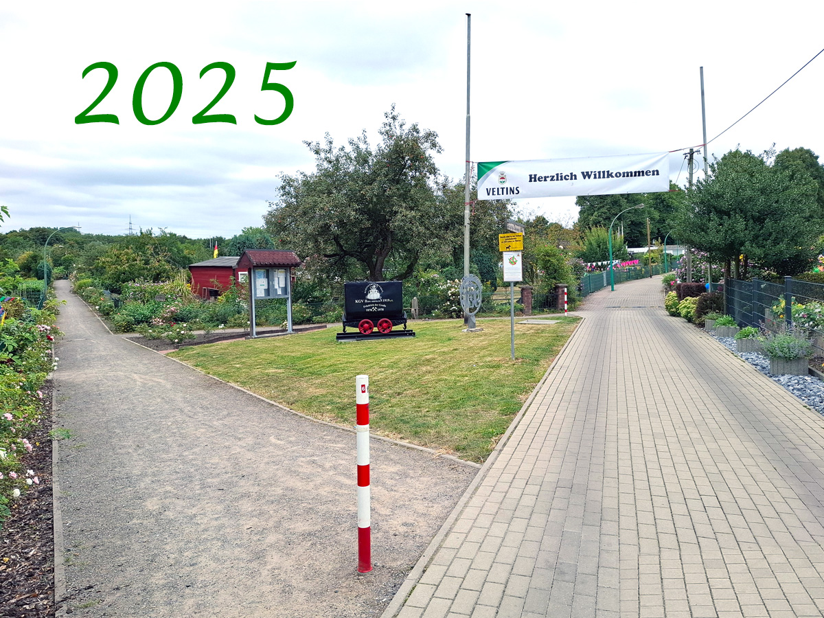 Sommerfest 2025 Sommerfest 2025