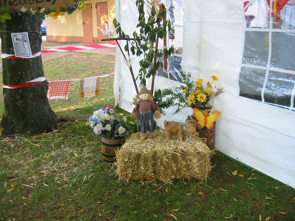 Sommerfest 2010