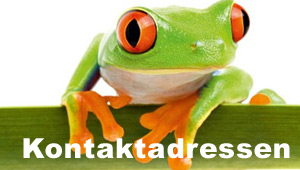 Kontaktadressen